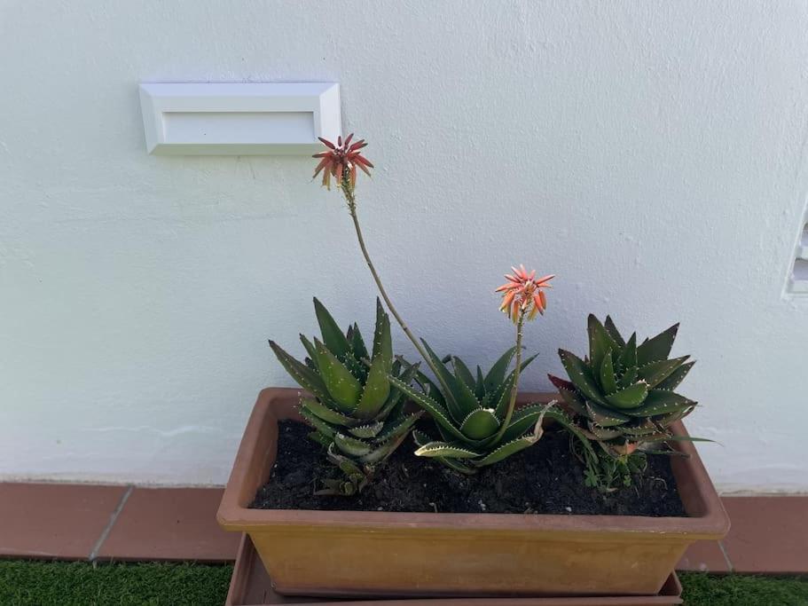 Casa Lola Conil, Azotea Al Mar Y Parking Solo Familias O Parejas Ferienhaus Conil De La Frontera